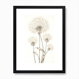 Dandelions Flower Vintage Botanical 3 Art Print