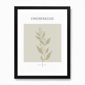 Boho Leaves 2 Zingiberaceae Art Print