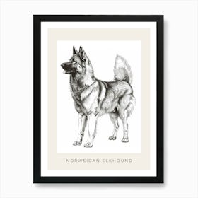 Norweigan Elkhound Dog Line Sketch 1 Poster Art Print