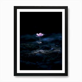 Lotus Flower In The Dark 1 Art Print