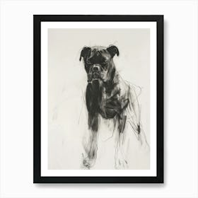 Boxer Dog Charcoal Line 1 Art Print