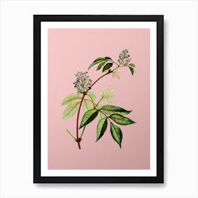 Vintage Red Elderberry Botanical on Soft Pink n.0731 Art Print