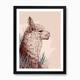 Alpaca Art Print