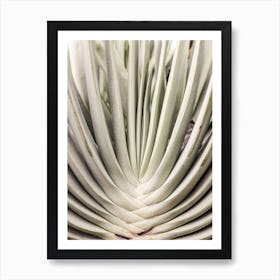 Blink Cactus Art Print