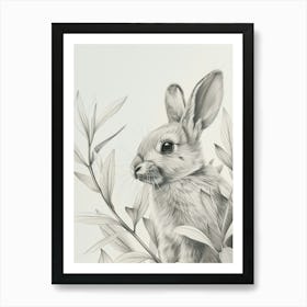 Havana Rabbit Drawing 3 Art Print