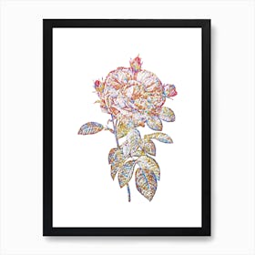 Stained Glass Giant French Rose Mosaic Botanical Illustration on White n.0235 Art Print