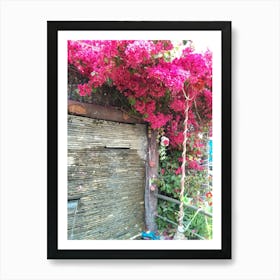 Beautiful Flowers By Binod Dawadi Art Print