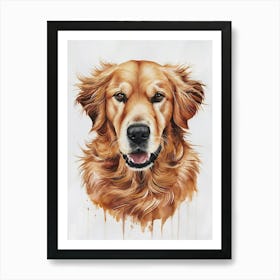 Golden Retriever 1 Art Print