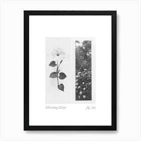 Morning Glory Botanical Collage 1 Art Print