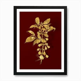Vintage Mountain Silverbell Botanical in Gold on Red n.0438 Art Print