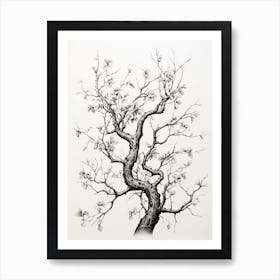 Tree Branches, Japanese Brush Painting, Ukiyo E, Minimal 4 Art Print