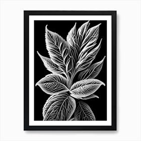 Pineapple Sage Leaf Linocut 2 Art Print