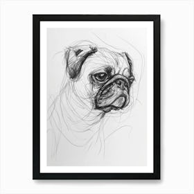 Pug Dog Charcoal Line 1 Art Print