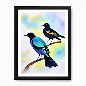 Magpie 2 Watercolour Bird Art Print