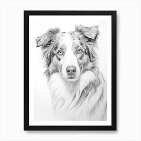 Australian Shepherd Dog, Line Drawing 1 Art Print