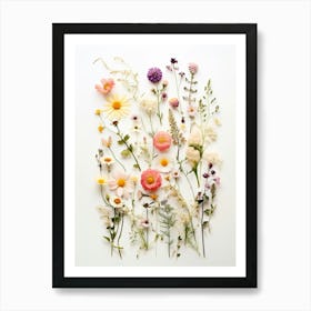 Pressed Flower Botanical Art Wildflowers 10 Art Print