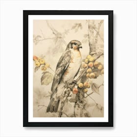 Storybook Animal Watercolour Falcon 1 Art Print