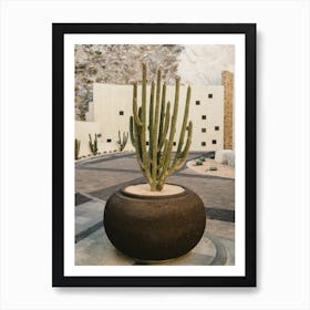 Cabo Cactus VIII Art Print