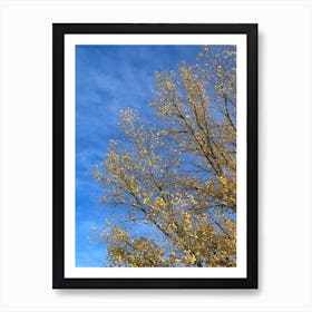 Autumn Tree Against Blue Sky Art Print