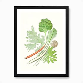 Celery Seed Spices And Herbs Pencil Illustration 2 Art Print