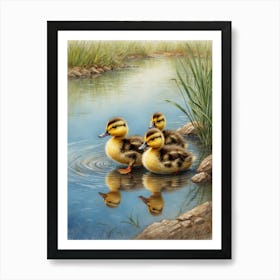 Ducklings 1 Art Print