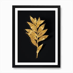 Vintage Smilacina Stellata Botanical in Gold on Black n.0060 Art Print