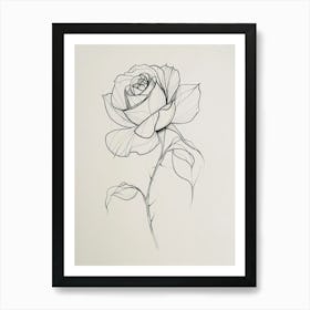 English Rose Black And White Line Drawing 38 Art Print