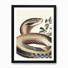 Egyptian Cobra Snake Vintage Art Print