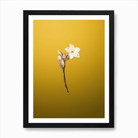 Gold Botanical Brasilian Red Coat Flower Branch on Mango Yellow n.3578 Art Print