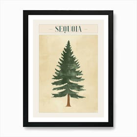 Sequoia Tree Minimal Japandi Illustration 2 Poster Art Print