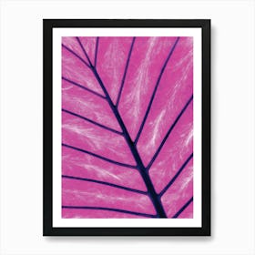 Pink Leaf Art Print