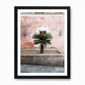 Palm tree | Old fortress | Corfu |Greece Art Print