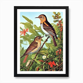 Hermit Thrush Haeckel Style Vintage Illustration Bird Art Print