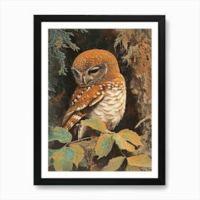 Northern Pygmy Owl Relief Illustration 2 Art Print