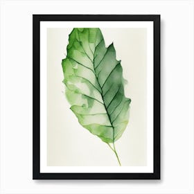 Wild Lettuce Leaf Minimalist Watercolour 3 Art Print
