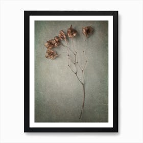 Foraged 2 Art Print