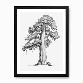 Sequoia Tree Minimalistic Drawing 2 Art Print