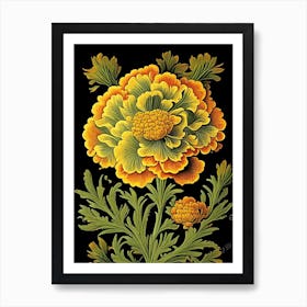 Marigold 1 Floral Botanical Vintage Poster Flower Art Print