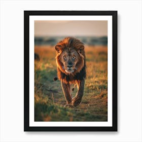 Lion In The Savannah Art Print