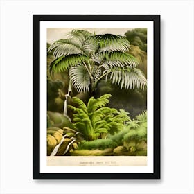 Ferns And Waterfall Art Print