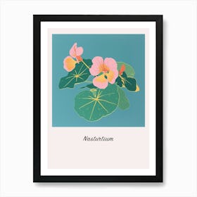 Nasturtium 2 Square Flower Illustration Poster Art Print