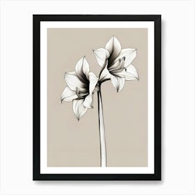 Amaryllis Minimalist Line Art Art Print