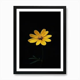 Single Yellow Flower 2 Art Print