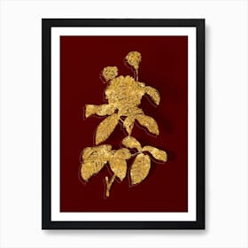 Vintage Agatha Rose in Bloom Botanical in Gold on Red n.0382 Art Print