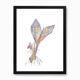 Stained Glass Koemferia Longa Mosaic Botanical Illustration on White n.0121 Art Print