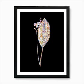 Stained Glass Bulltongue Arrowhead Mosaic Botanical Illustration on Black n.0115 Art Print
