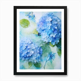 Blue Hydrangeas 8 Art Print