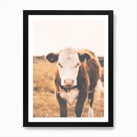 Brown Milk Cow Art Print