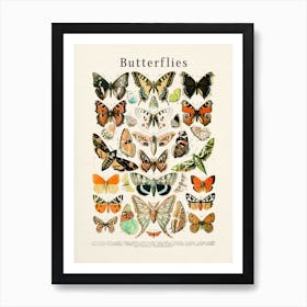 Butterflies Collection Art Print