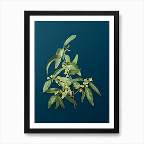 Vintage Russian Olive Botanical Art on Teal Blue n.0665 Art Print
